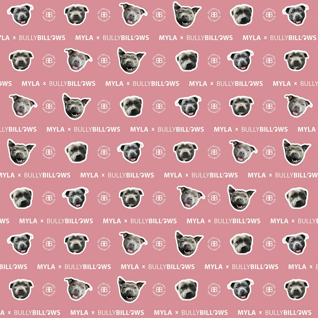 featured image of MYLA Pink Edition | Luxury Dog & Human Blanket