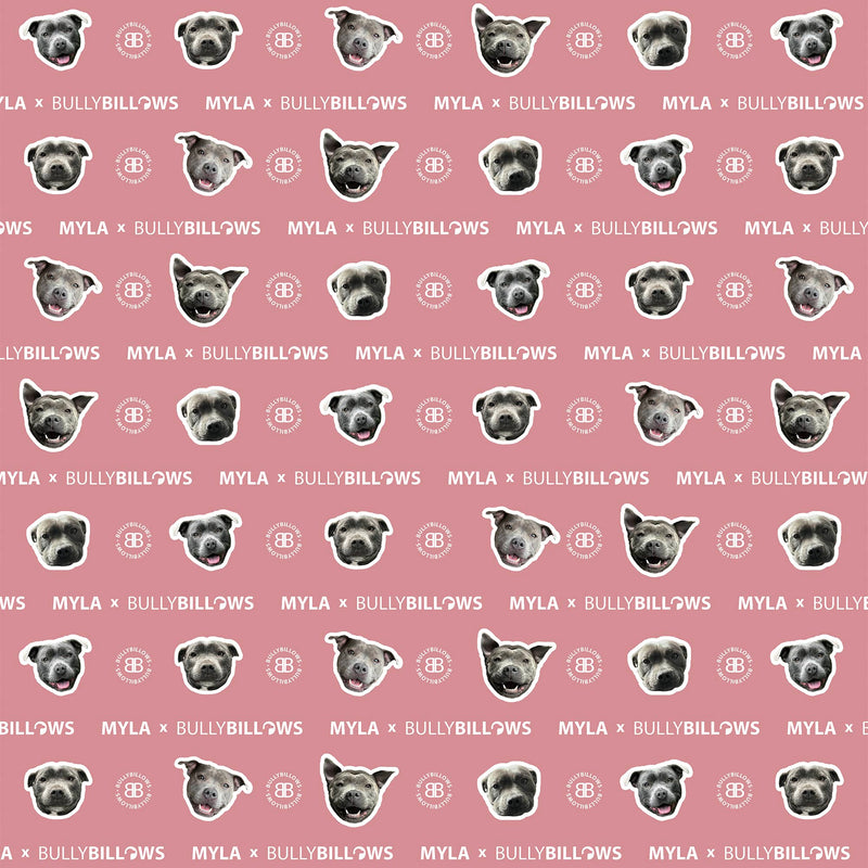 MYLA Pink Edition | Luxury Dog & Human Blanket