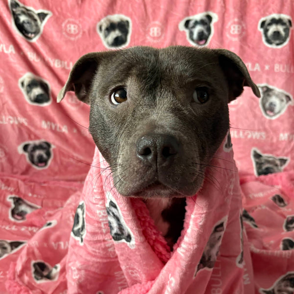MYLA Pink Edition | Luxury Dog & Human Blanket