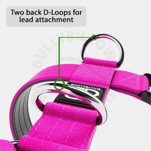 Training Anti Pull TRI-Harness® | M-XL Breeds - Magenta