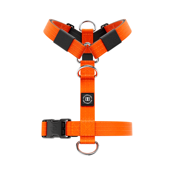 Mini Training Anti Pull TRI-Harness® | Small Breeds - Orange