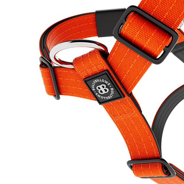 Mini Training Anti Pull TRI-Harness® | Small Breeds - Orange