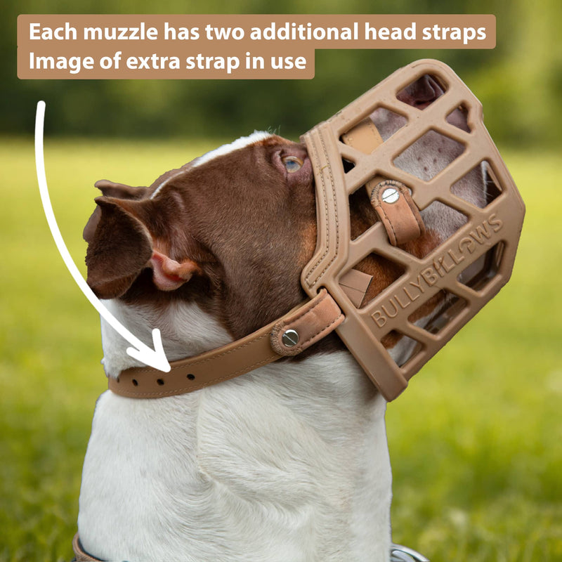 Premium Comfort Muzzle | x2 Additional Head Straps - Tan