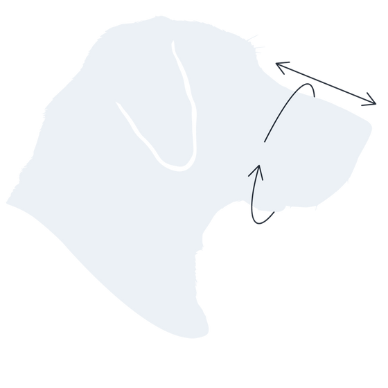 Size chart for 
Muzzle - S-XL Breeds - Black