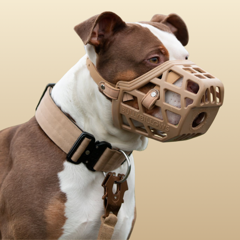 featured image of Premium Comfort Muzzle with 2 Straps - Doug Special Edition