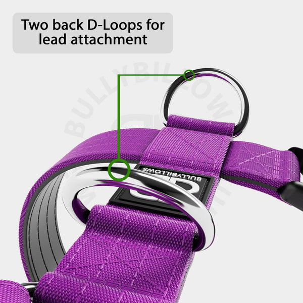 Training Anti Pull TRI-Harness® | M-XL Breeds - Purple