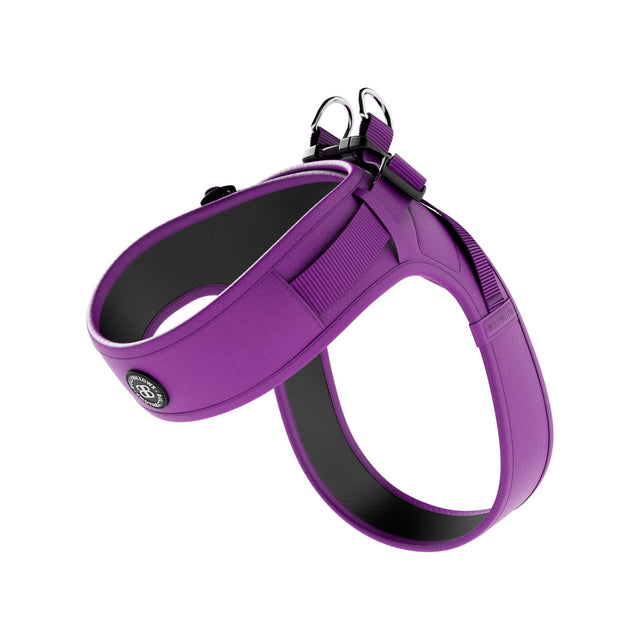 Boomerang Harness | XS-M Breeds - Purple