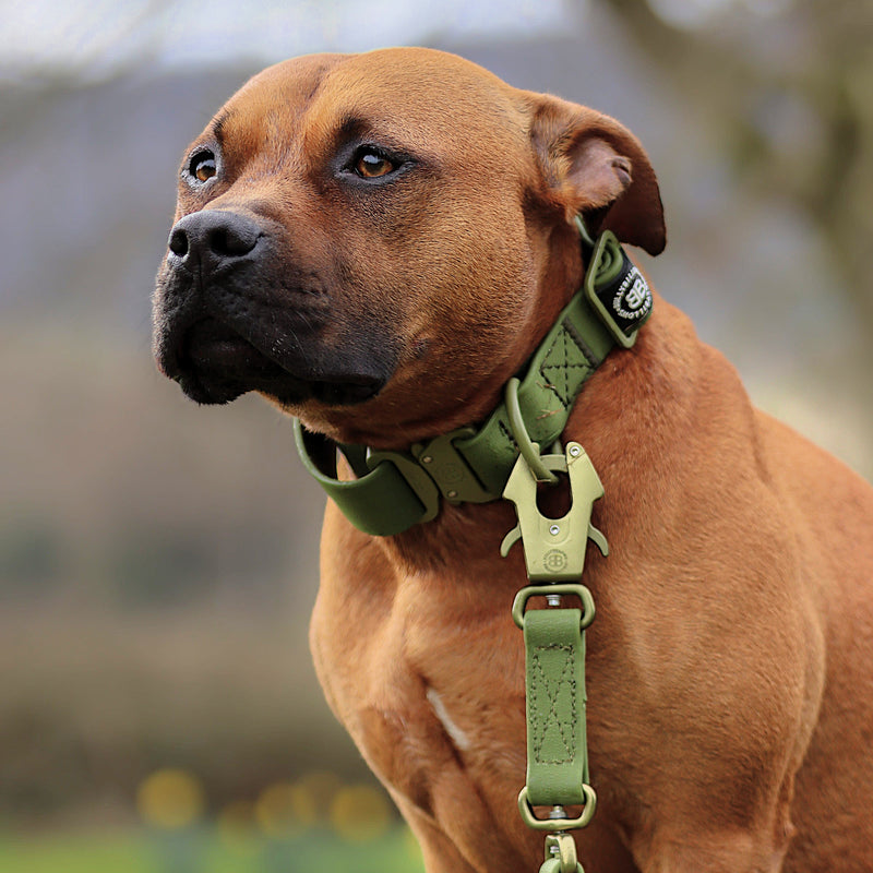 Ladder Combat® Waterproof Multiple Handles Leash | Billowthane® - Khaki