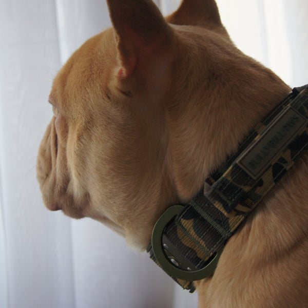 2.5cm Lighter Combat® Collar | With Handle & Secure Clip - Green Camouflage