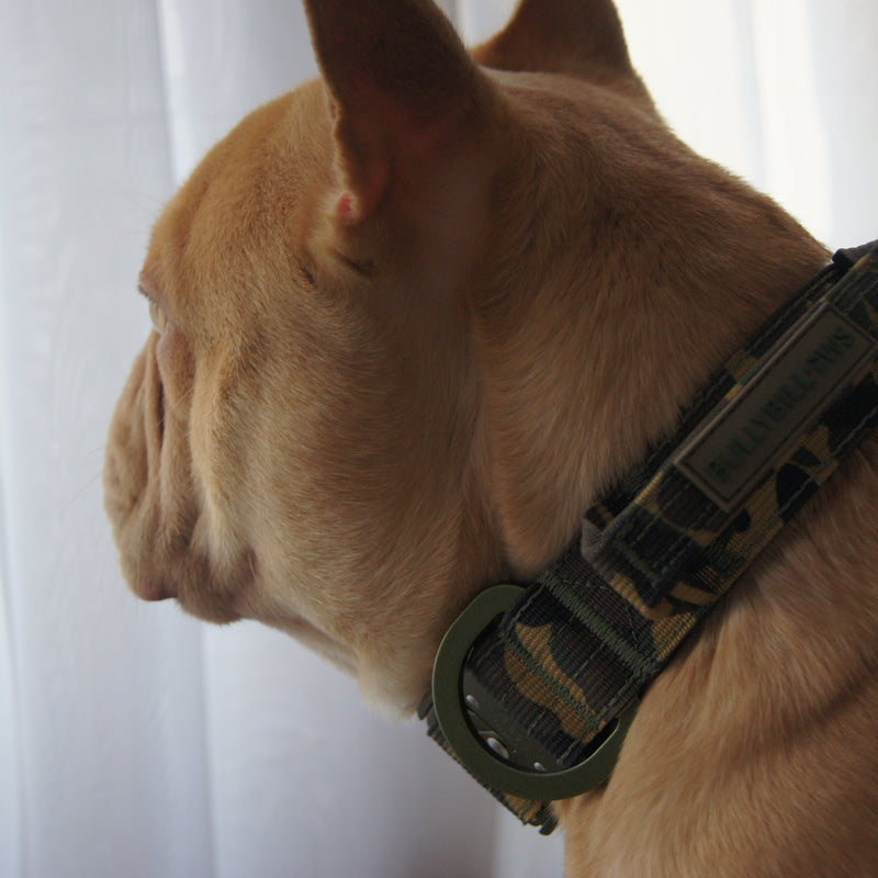 2.5cm Lighter Combat® Collar | With Handle & Secure Clip - Green Camouflage