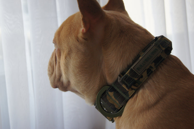 2.5cm Lighter Combat® Collar | Green Camouflage