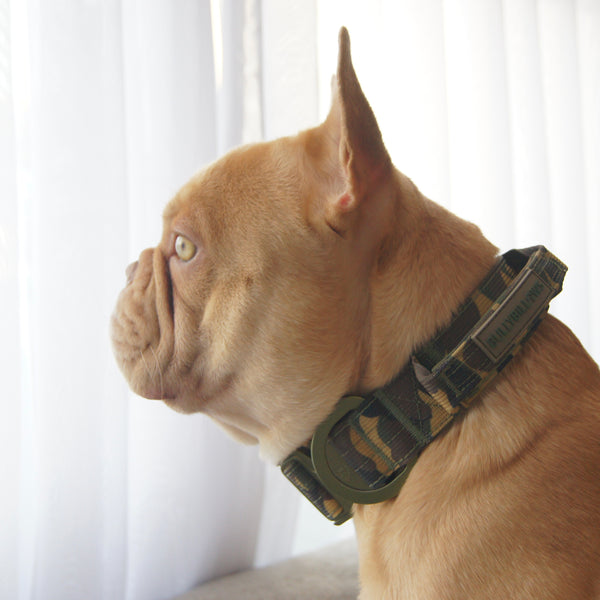 2.5cm Lighter Combat® Collar | With Handle & Secure Clip - Green Camouflage