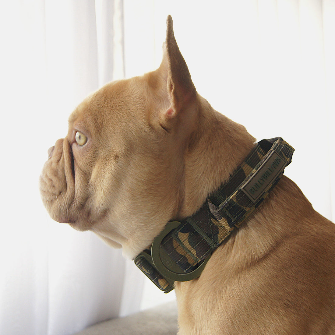 featured image of 5cm Lighter Combat® Collar | With Handle Secure Clip - Green Camouflage