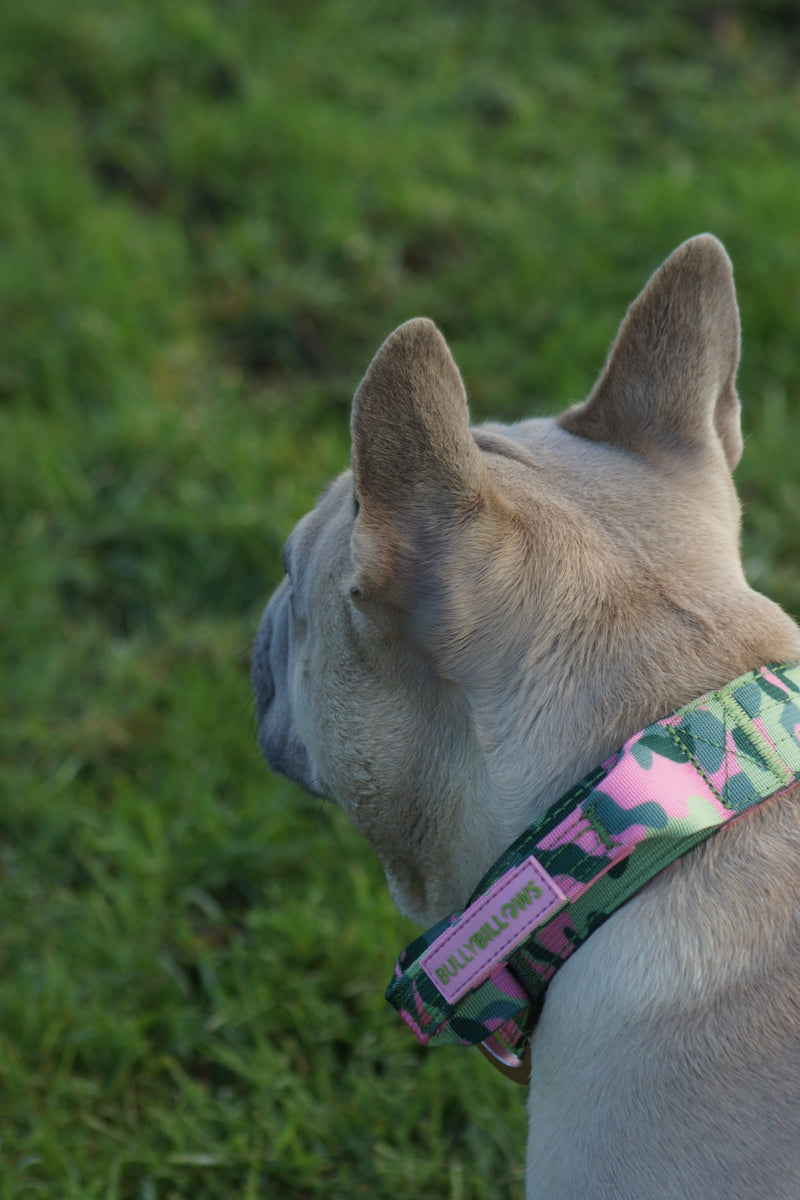 2.5cm Lighter Combat® Collar | Green Camouflage