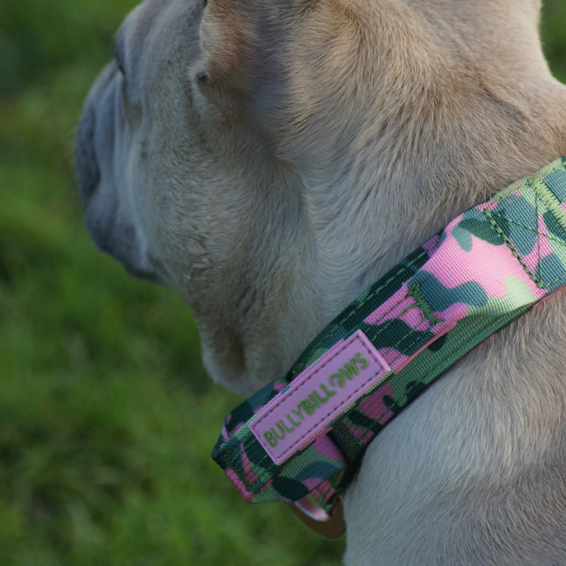 2.5cm Lighter Combat® Collar | With Handle & Secure Clip - Green Camouflage