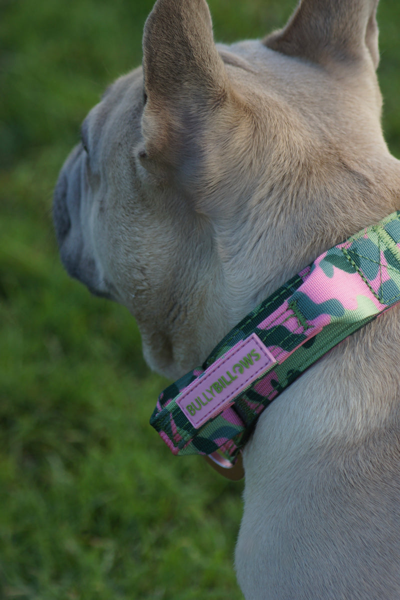2.5cm Lighter Combat® Collar | Green Camouflage
