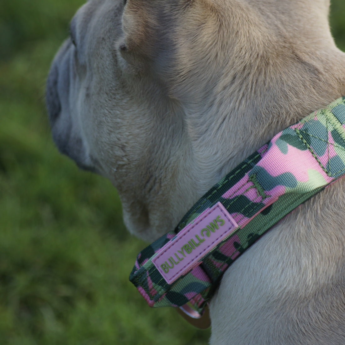 featured image of 4cm Lighter Combat® Collar | With Handle Rated Clip - Pink Camouflage