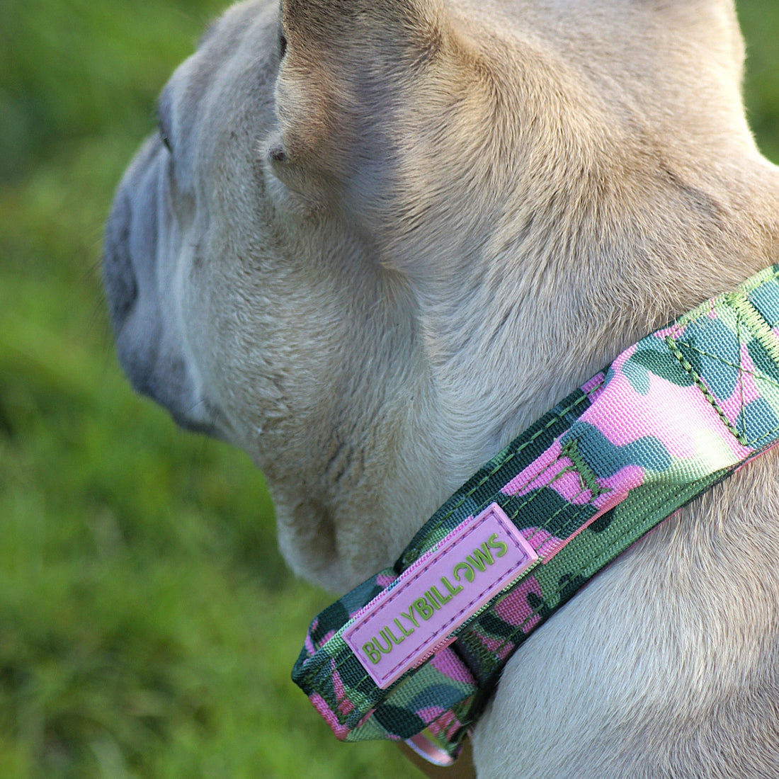 featured image of 5cm Lighter Combat® Collar | With Handle Secure Clip - Pink Camouflage