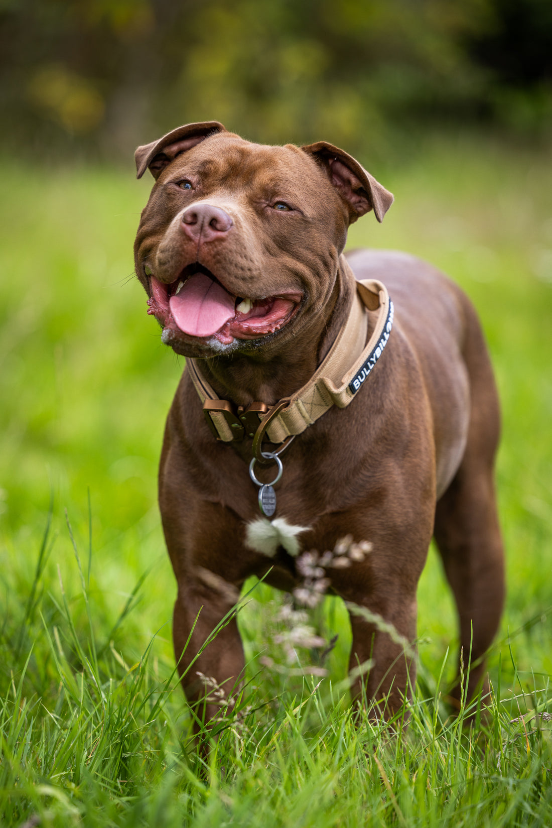 Vinnie
