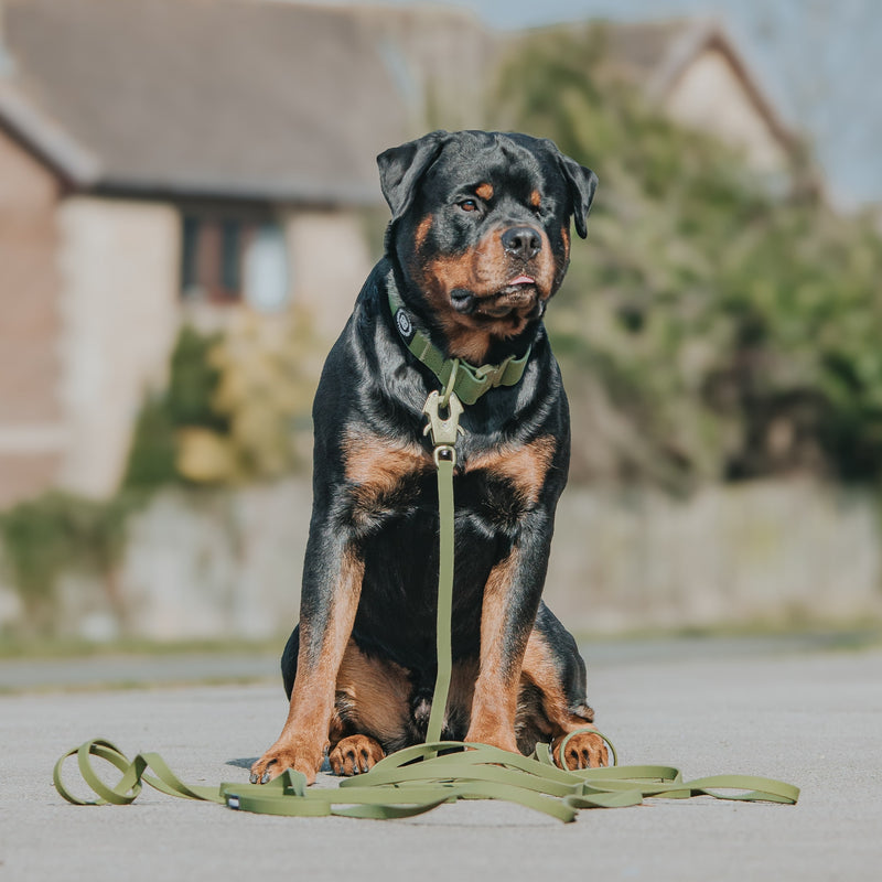 10m Recall Billowthane® Lead | Waterproof - Matte Khaki