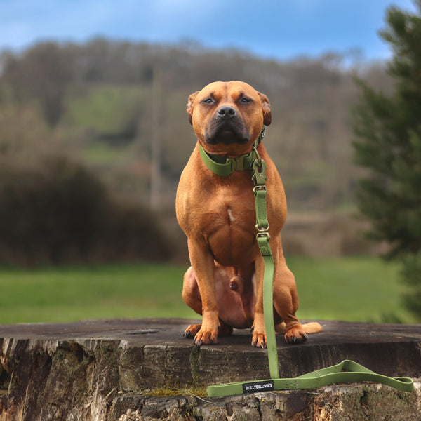 1.4m Billowthane® Swivel Lead | Waterproof - Matte Khaki