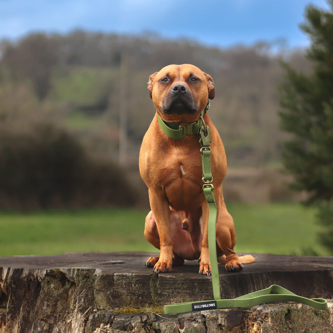 featured image of 1.4m Billowthane® Swivel Lead | Waterproof - Matte Khaki