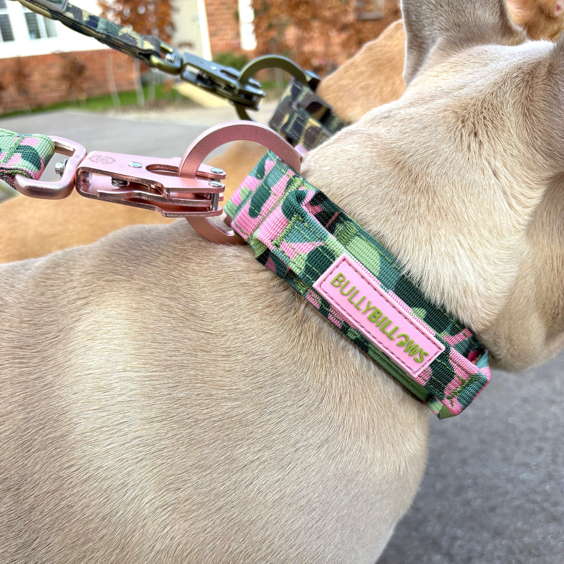 featured image of 1.2m Lighter Swivel Combat Leash | Anti-Tangle & Secure Clip - Pink Camouflage