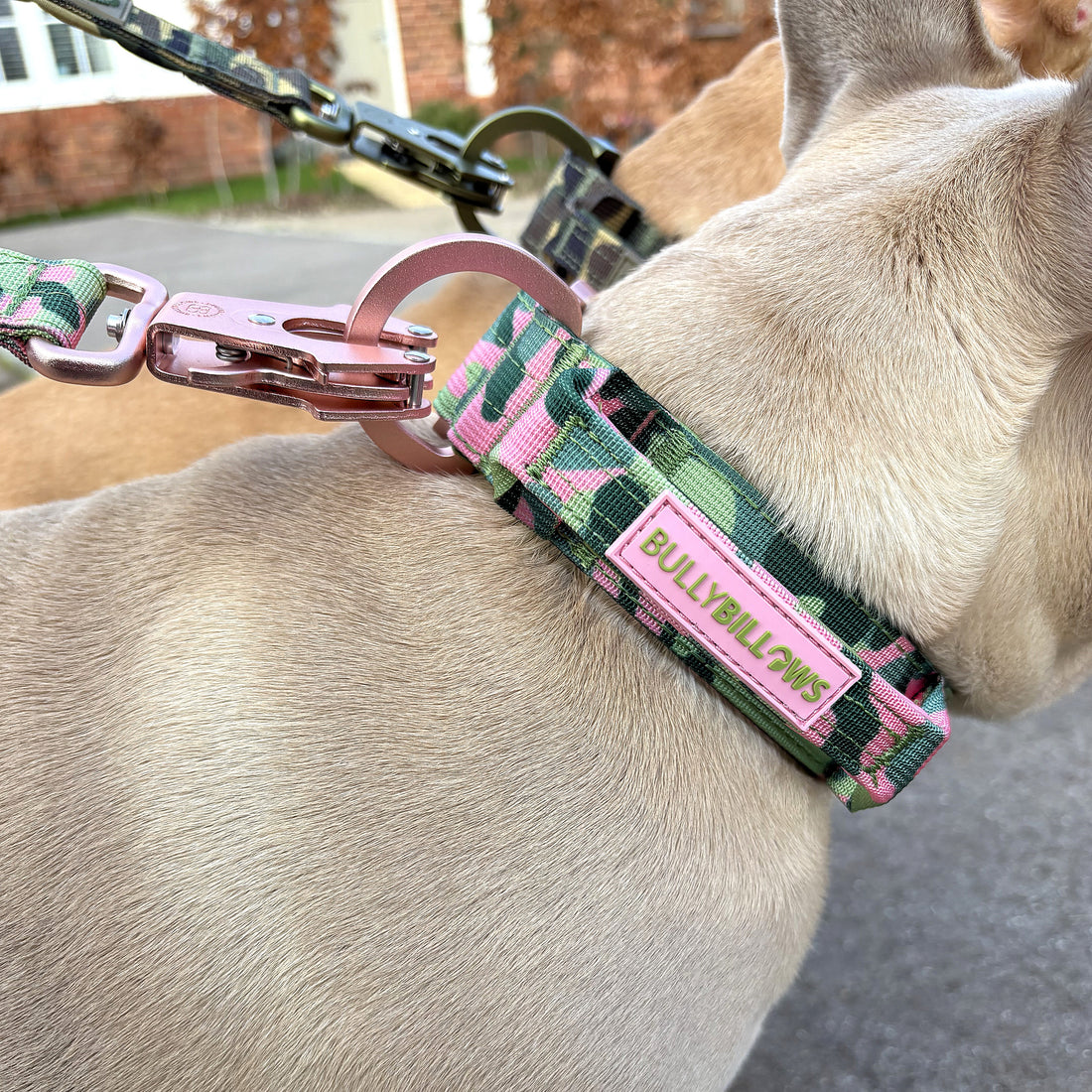 featured image of 5cm Lighter Combat® Collar | With Handle Secure Clip - Pink Camouflage