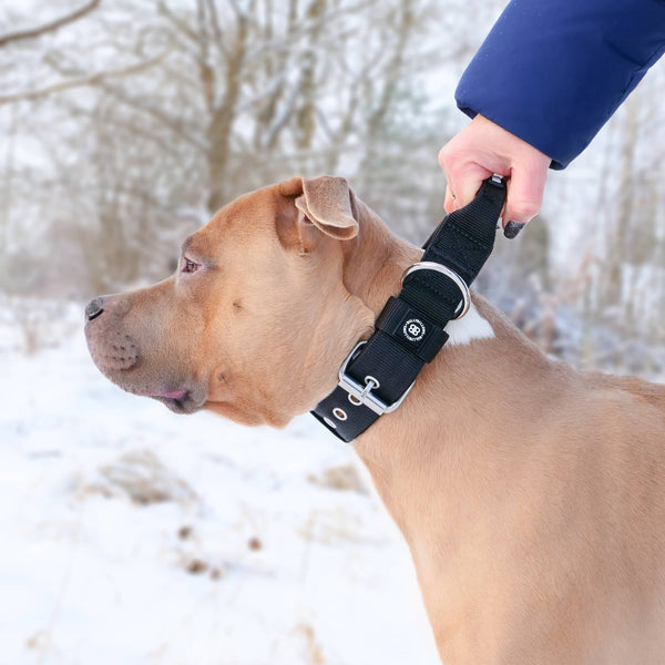 4cm Pin Buckle Collar | With Handle - Black