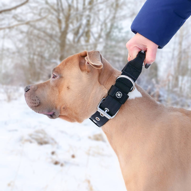 4cm Pin Buckle Collar | With Handle - Black