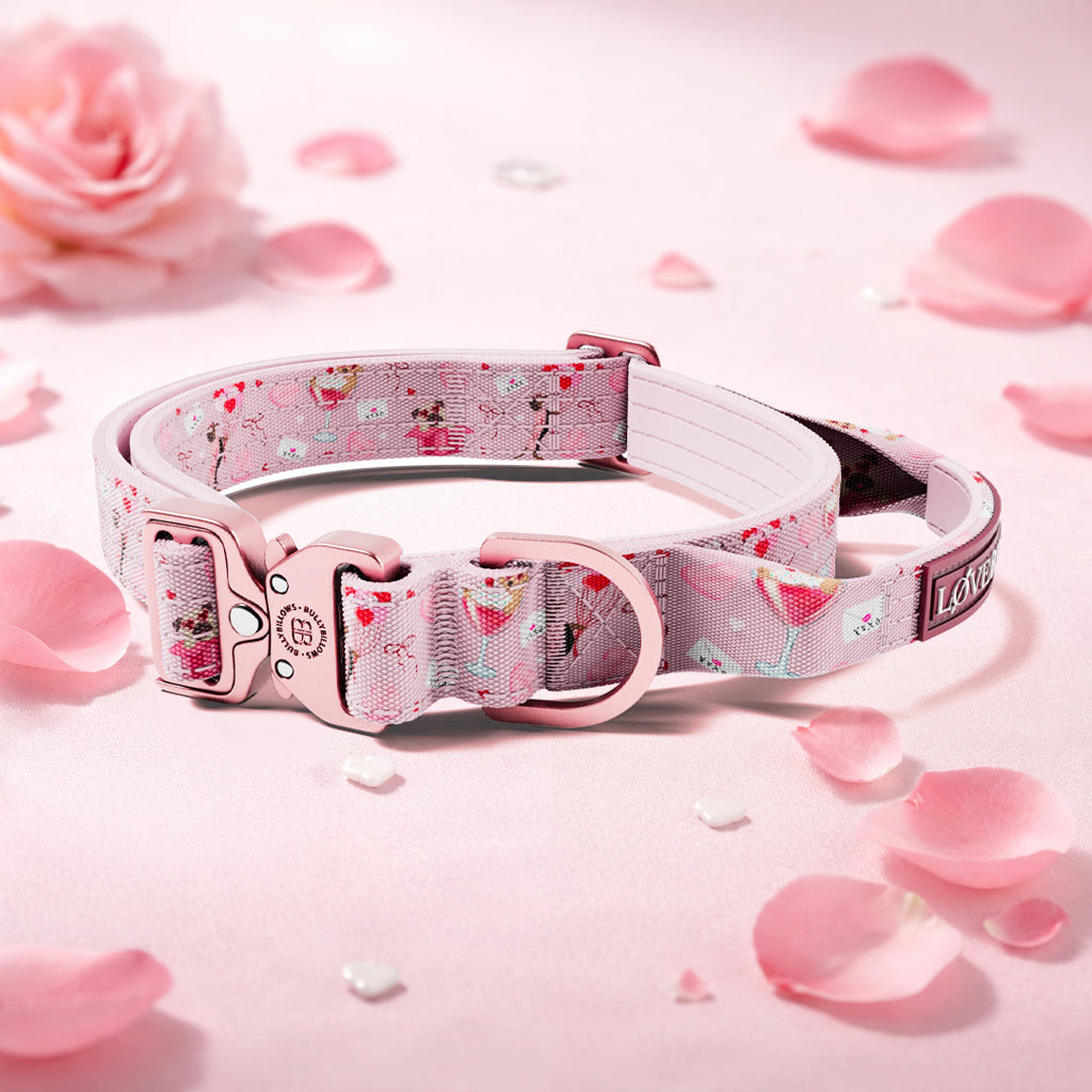 featured image of 2.5cm Lighter Combat® Collar | With Handle & Secure Clip - Light Love Edition