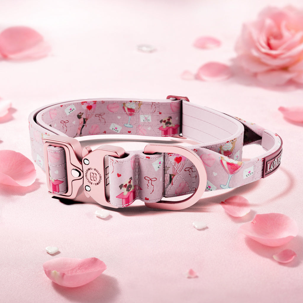 featured image of 4cm Lighter Combat® Collar  | With Handle & Secure Clip - Light Love Edition