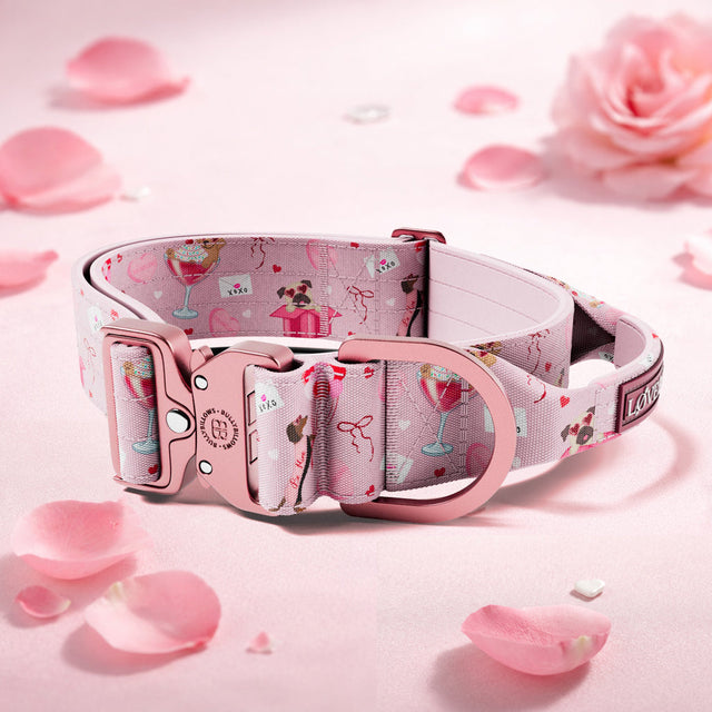 5cm Lighter Combat® Collar | With Handle & Secure Clip - Light Love Edition