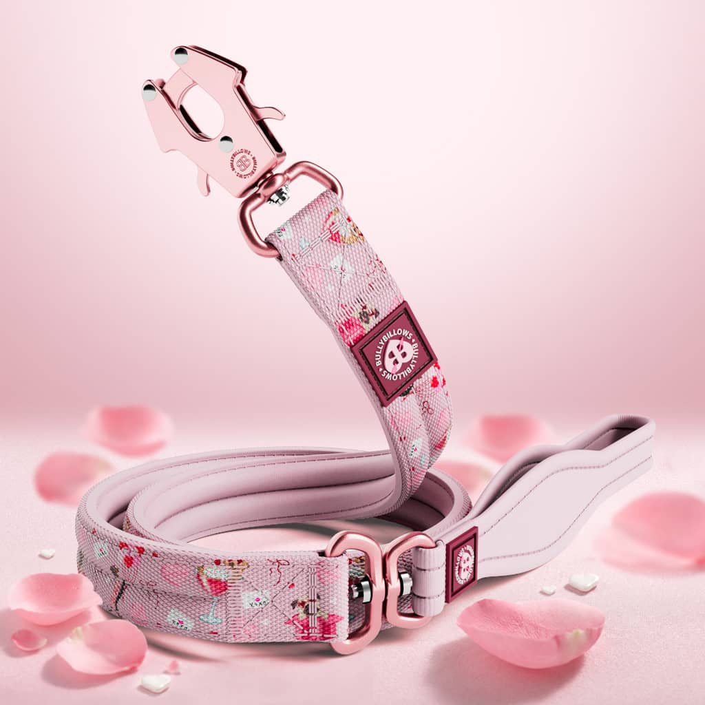 featured image of 1.2m Lighter Swivel Combat® Lead | Light Love Edition