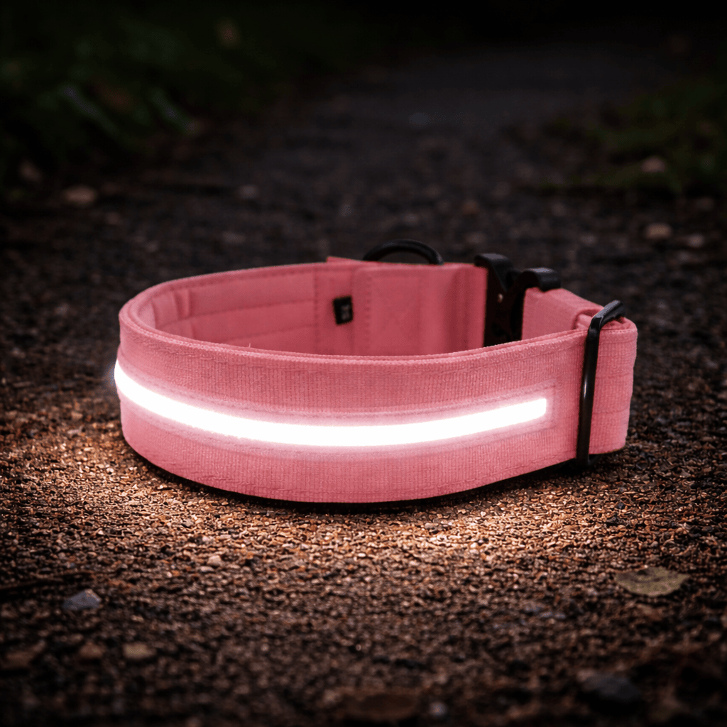 featured image of 2.5cm Light Up LED Combat® Collar | With Handle & Secure Clip - Pink