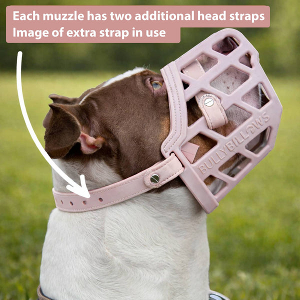 Premium Comfort Muzzle | x2 Additional Head Straps - Pink