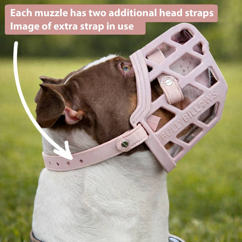 Premium Comfort Muzzle | x2 Additional Head Straps - Pink