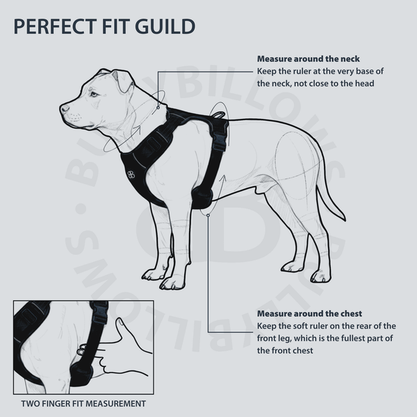 Premium Comfort Herringbone Harness | Non Restrictive - Elegant Cream