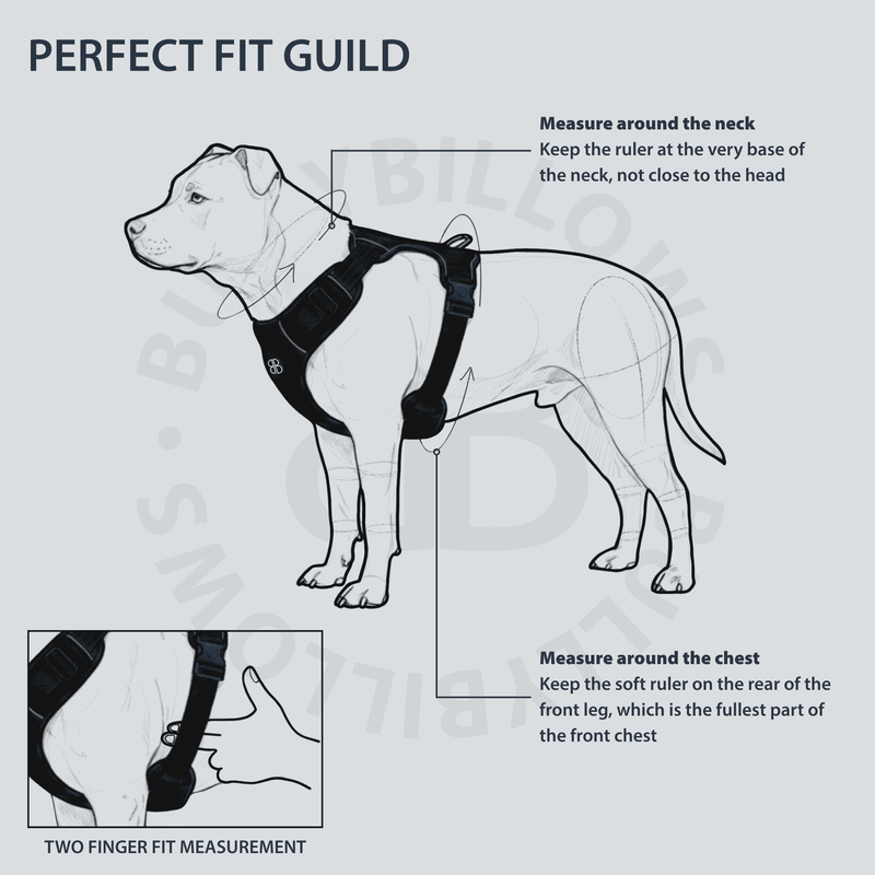 Premium Comfort Herringbone Harness | Non Restrictive - Elegant Cream