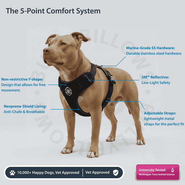 Premium Comfort Herringbone Harness | Non Restrictive - Elegant Cream