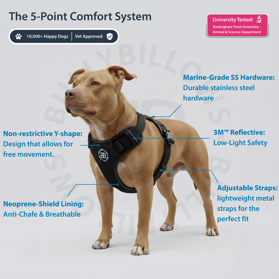 featured image of Premium Comfort Herringbone Harness | Non Restrictive - Midnight Blue
