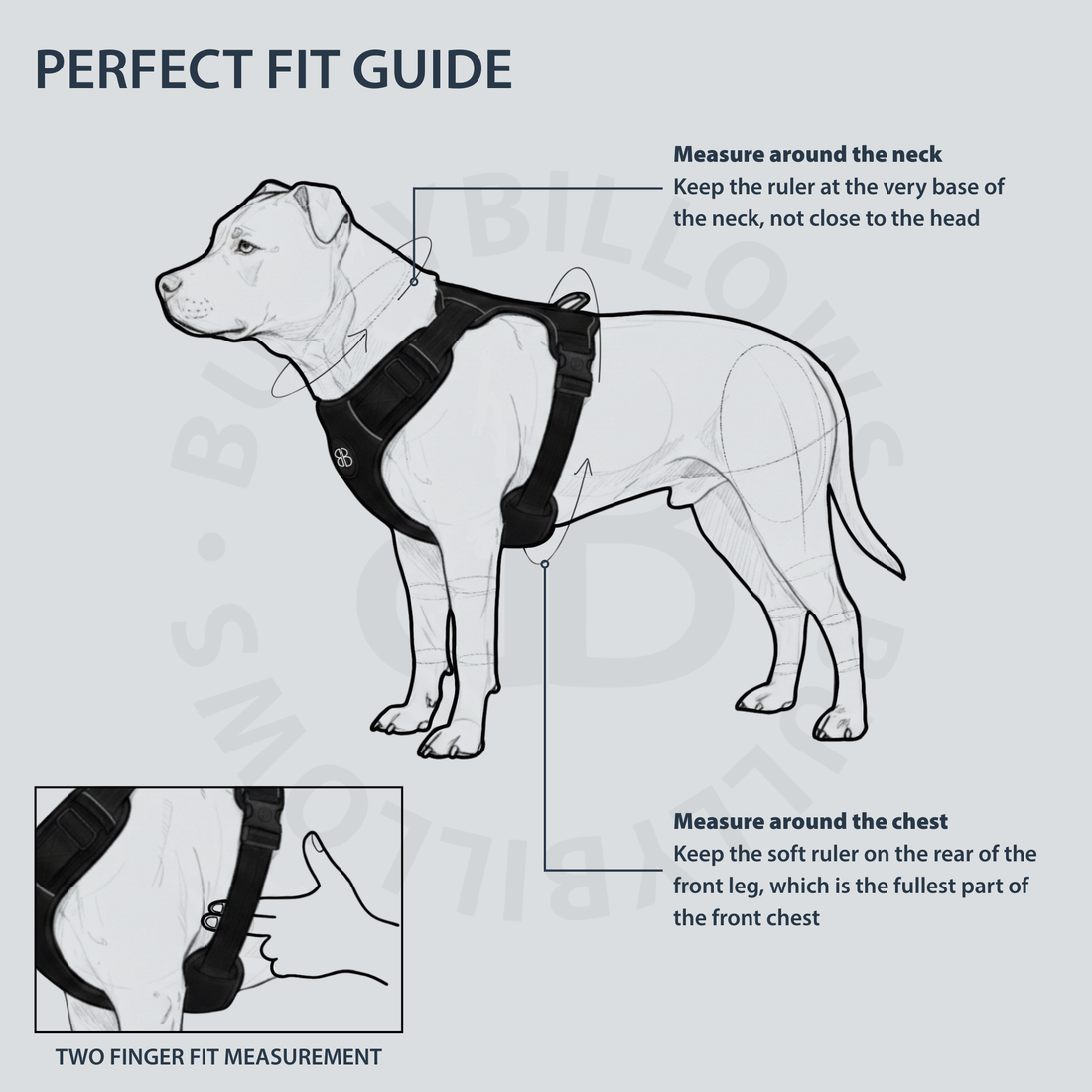 Comfort Premium Harness | Non Restrictive - Magenta – BullyBillows