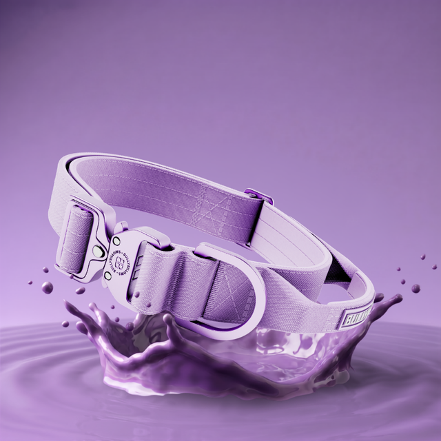 Lighter Combat Collar