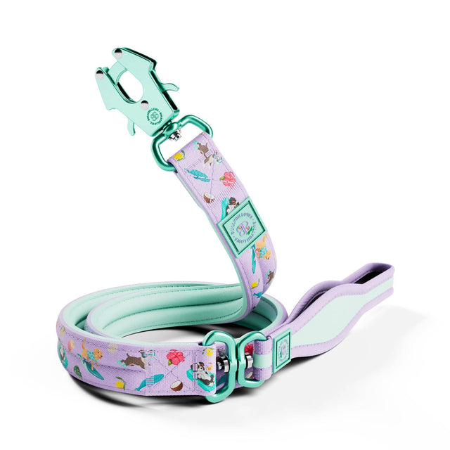 1.2m Lighter Swivel Combat Leash | Anti-Tangle & Secure Clip - BalmyBillows Purple