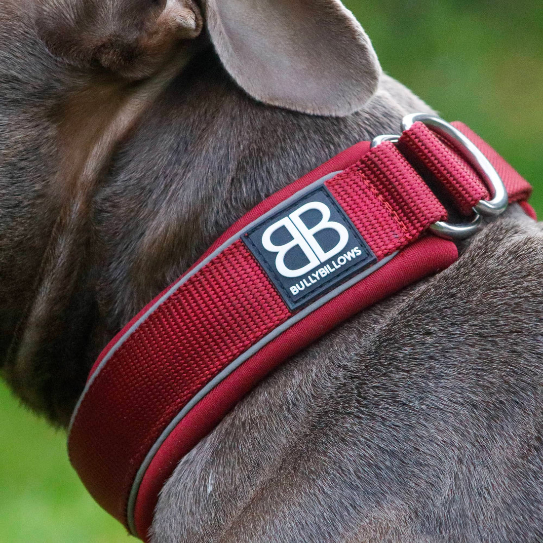 featured image of 4cm Slip on Collar | Foam Padded - Black x Orange