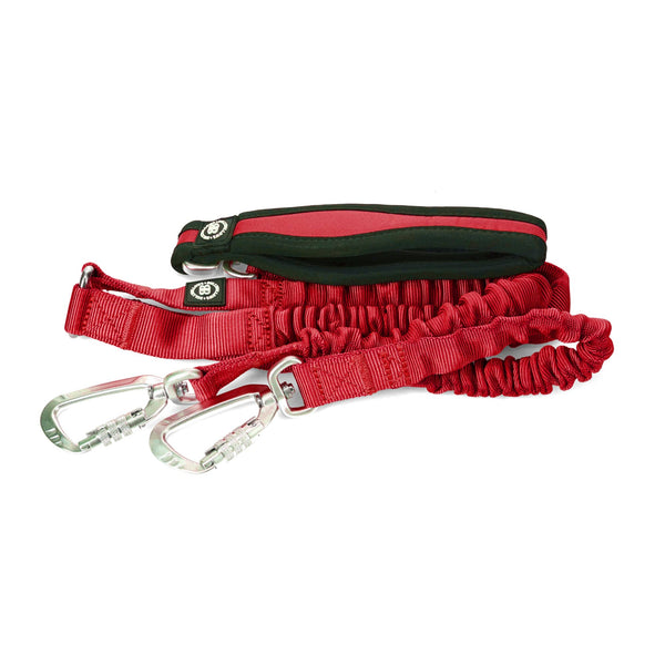 Shock absorber dog lead hotsell
