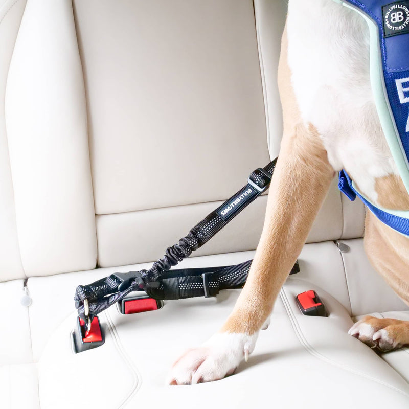 Headrest Car Seatbelt Safety Travel Accessory