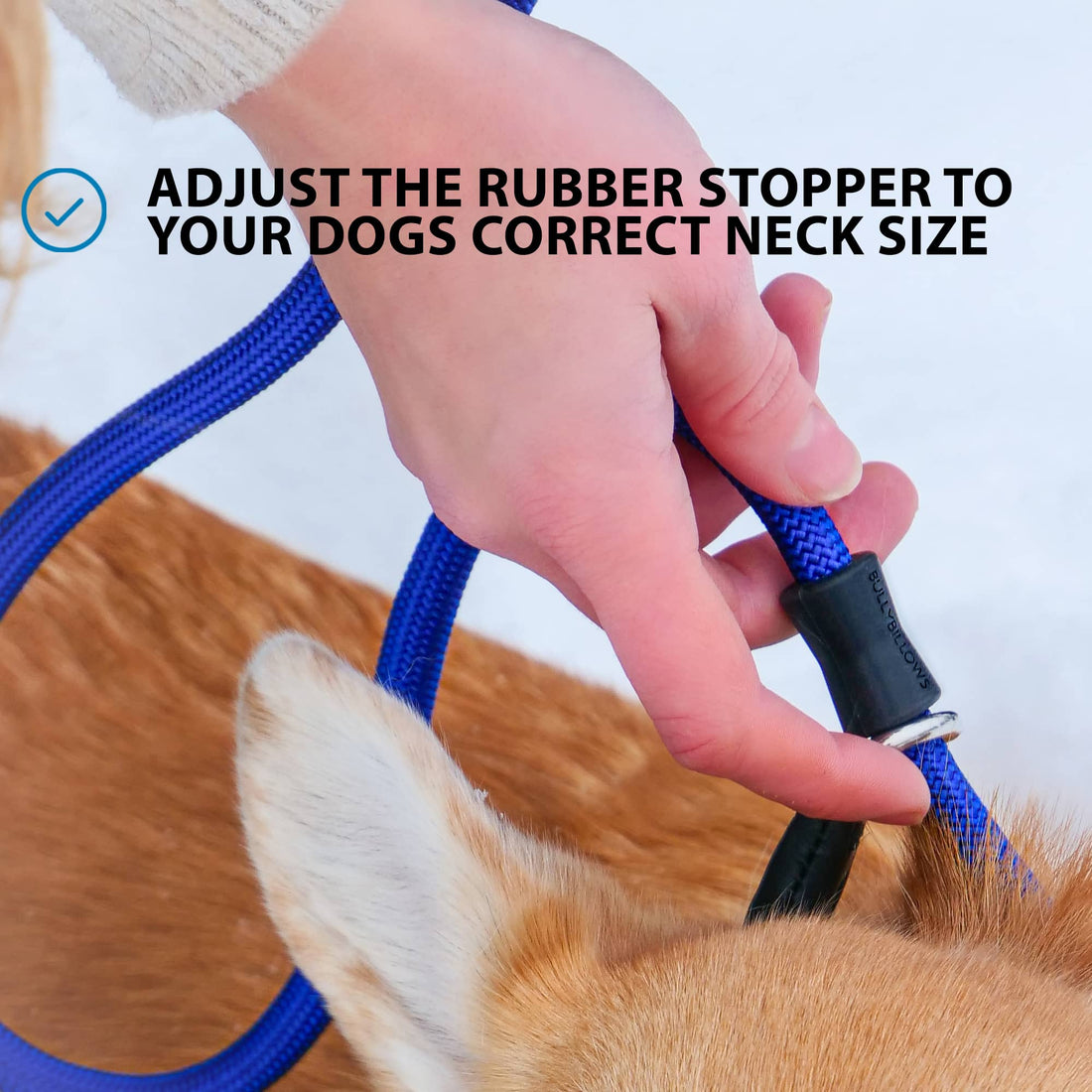featured image of Slip Training Lead | Anti Pull & No Choking -  Red
