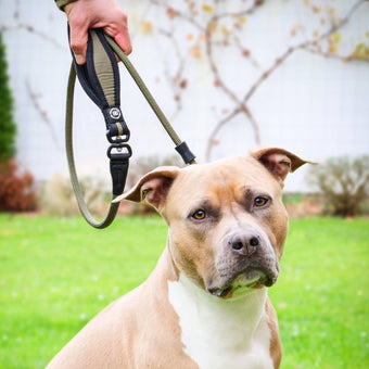 /collections/leads-leashes-slip-leads