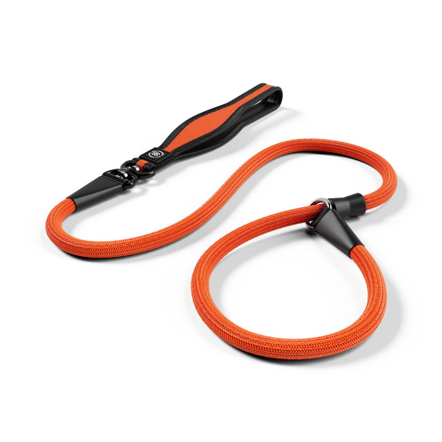 Slip Training Lead | Anti Pull & No Choking -  Orange